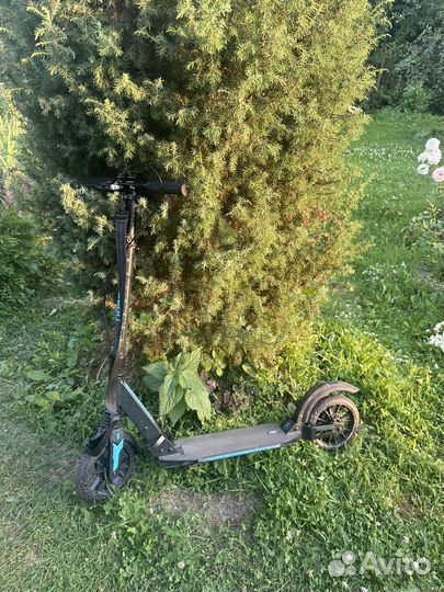 Самокат Ridex Trigger