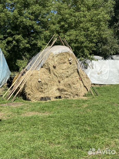 Сено в рулонах 2022