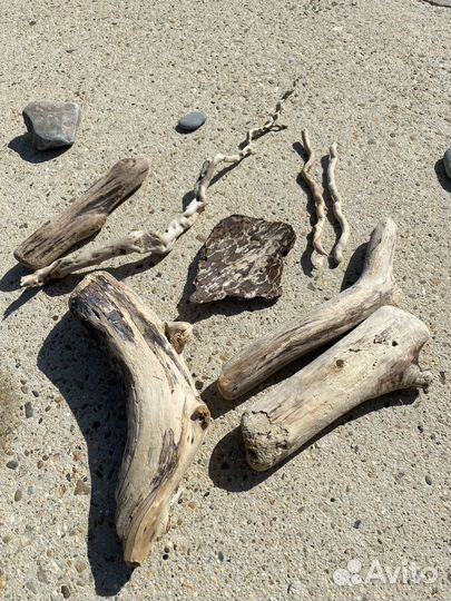 Коряги дрифтвуд