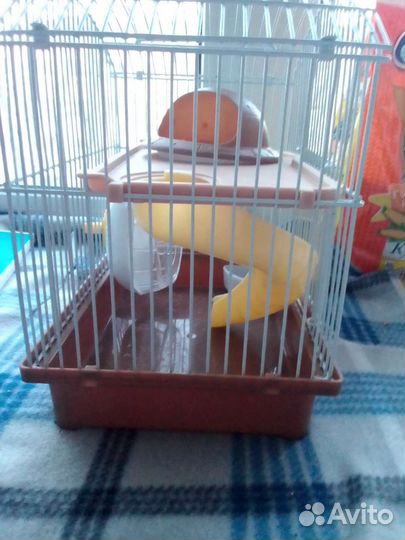 Клетка для сирийского хомяка