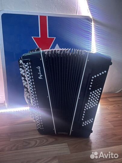 Баян рубин 6