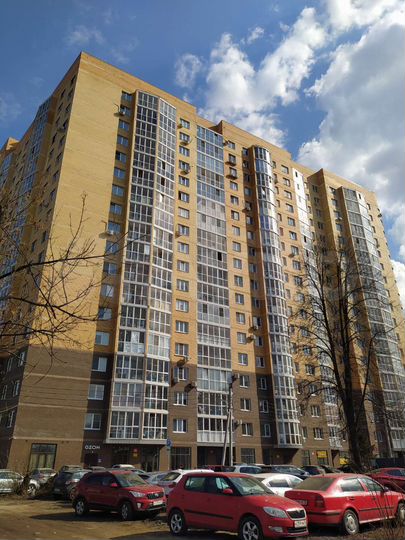 1-к. квартира, 46 м², 13/18 эт.