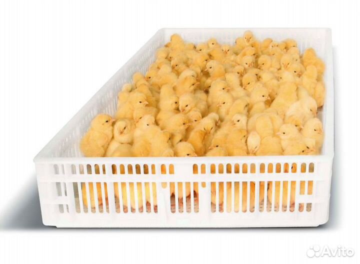 Корзина выводная складская программа