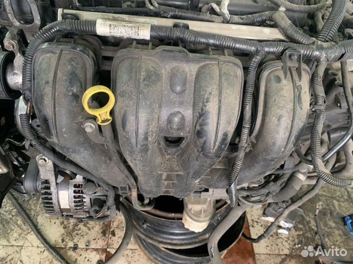 Коллектор впускной Ford Focus 2