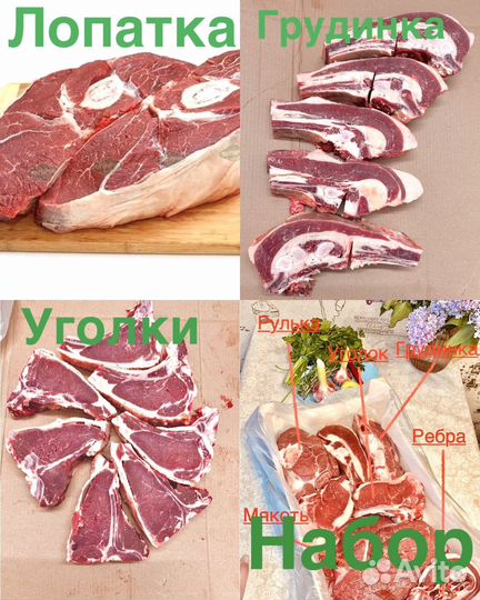 Мясо Телятина
