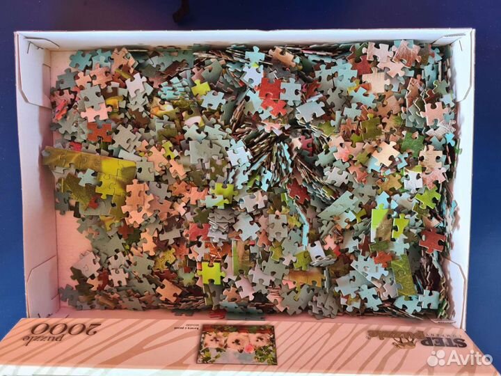 Игра настольная детская