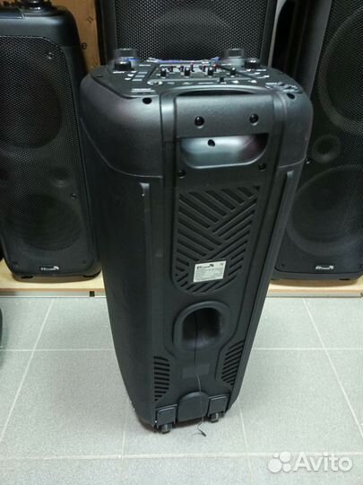 Колонка electronic 20-62 1000Ватт, 2-микрофона