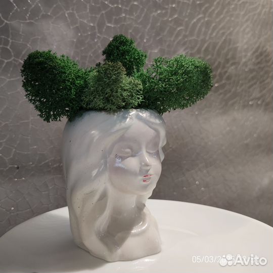 Статуэтка со стабилизированным мхом
