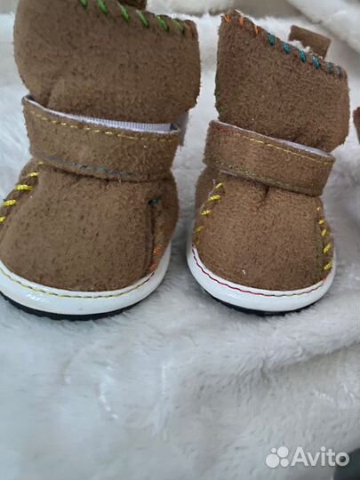 Угги для собак