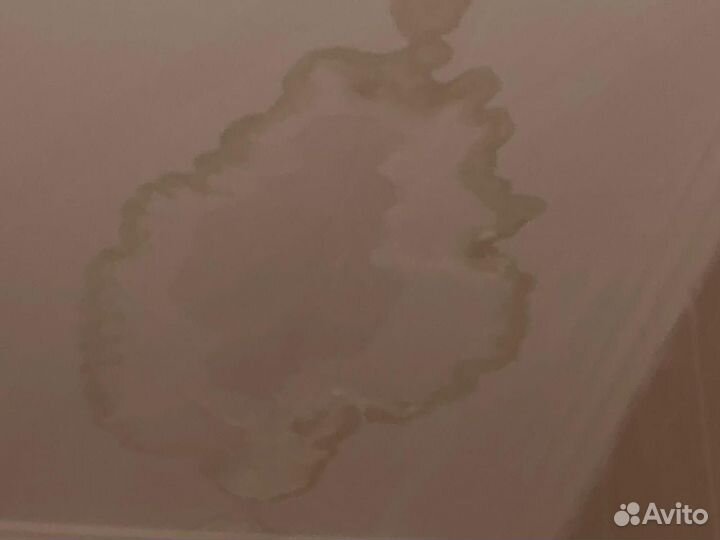 Оценка залива, пожара, оценка для нотариуса