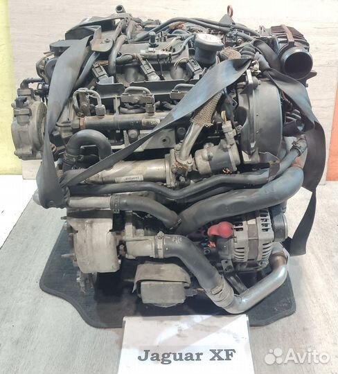 Двс 2.7л дизель Jaguar XF, 2009г