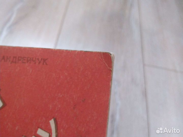 Н.Г. Цед, В.И. Андрейчук, Первый шаг к Кунг-фу