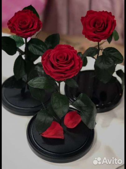 Роза в колбе