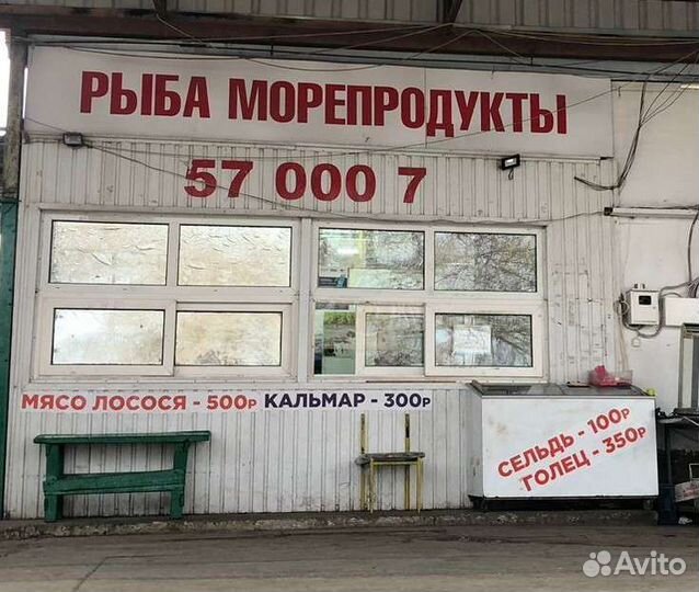 Скумбрия мороженная