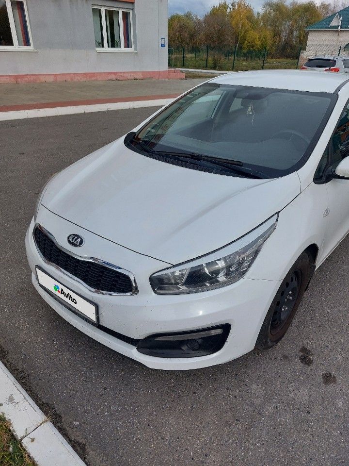 Kia Ceed: фото владельца