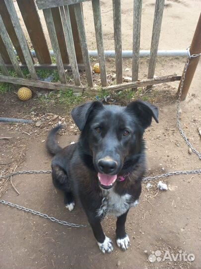 Молодой мальчик в добрые руки