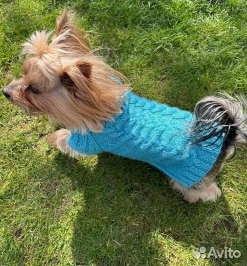 Одежда для маленьких собак