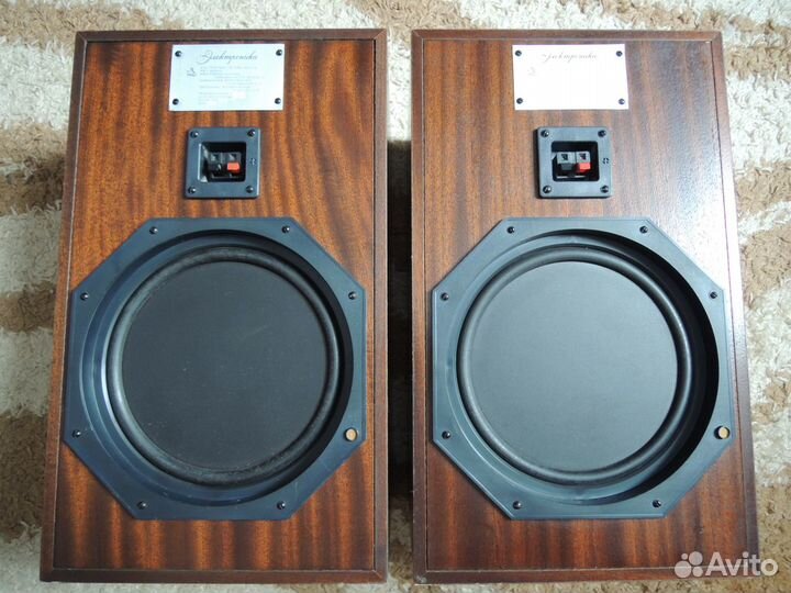 Акустическая система Электроника 35ас-130