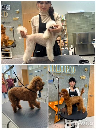 Груминг, тримминг