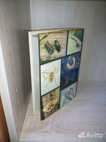 Иллюстрированная энциклопедия насекомых. Станек В