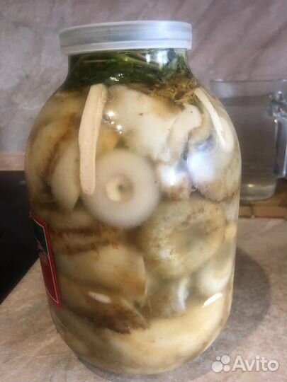 Грибы грузди соленые