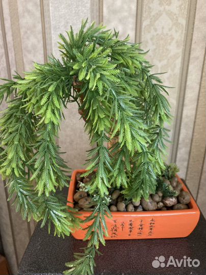 Бонсаи искуственные