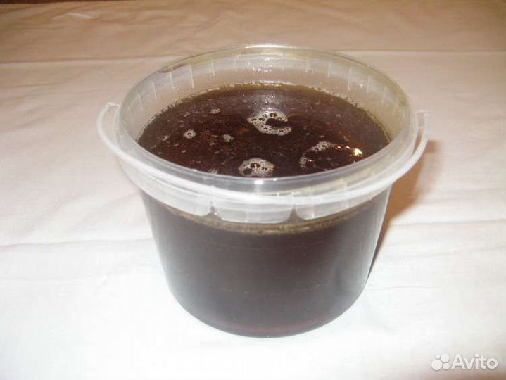 Мед дягилевый