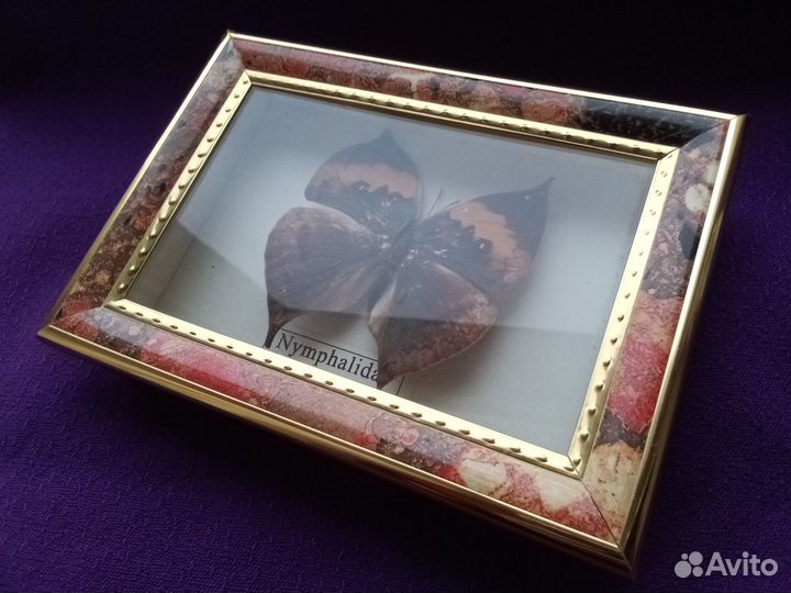 Бабочка в рамке и пазл парусник