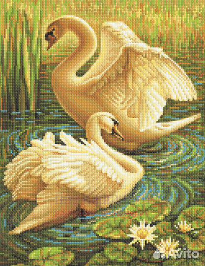 Алмазная мозаика 40x50 Два красивых лебедя среди к