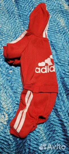 Комбинезон для маленькой собаки