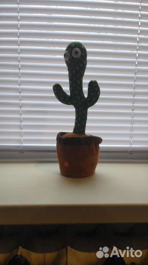 Танцующий кактус