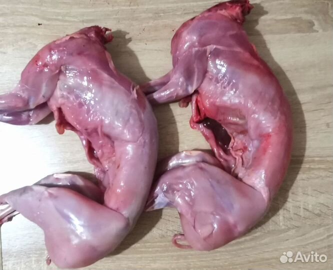 Мясо кролика