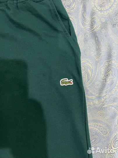 Новые шорты lacoste