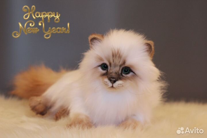 Мягкая игрушка ручной работы кошка