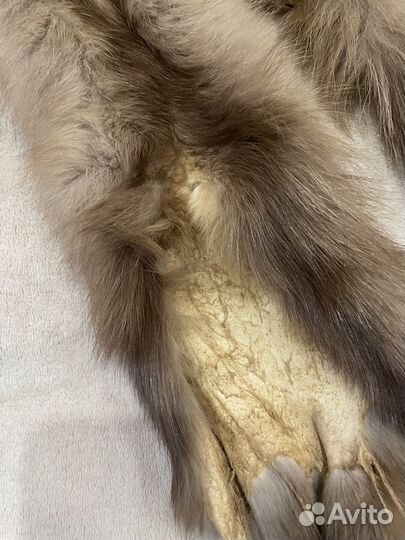Продаю шкурки куницы