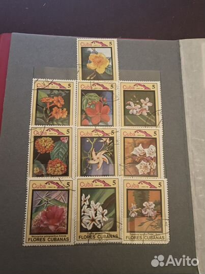 Марки СССР флора и фауна