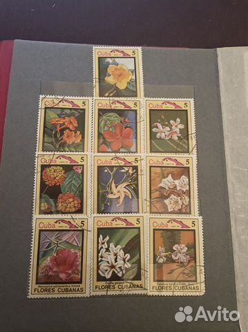 Марки СССР флора и фауна