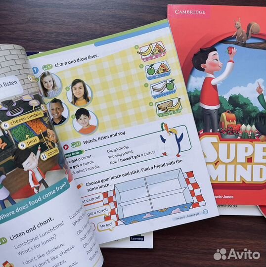 Super minds 2nd edition