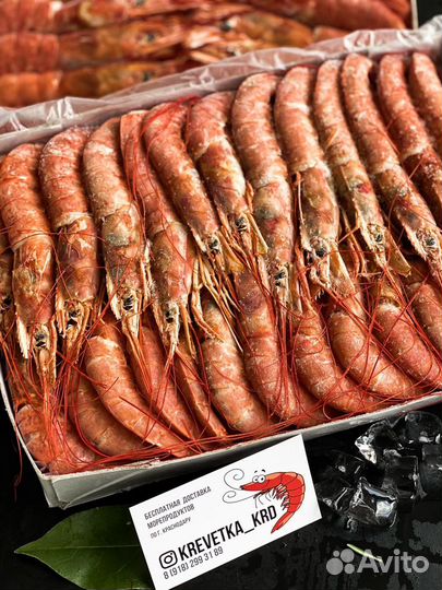 Лангустины L2