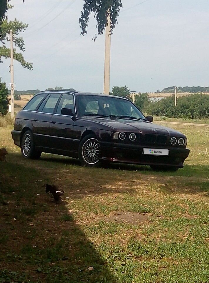 BMW 5 серия: фото владельца