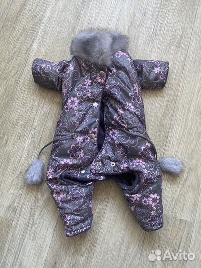 Одежда для маленьких пород собак