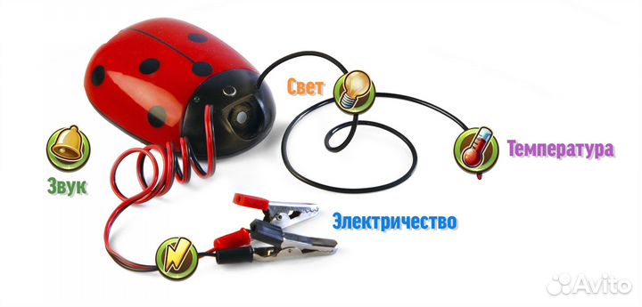 Мультимедийная лаборатория