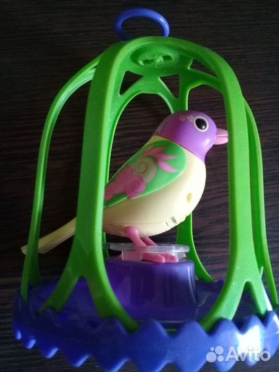 Интерактивная птичка DigiBird Silverlit