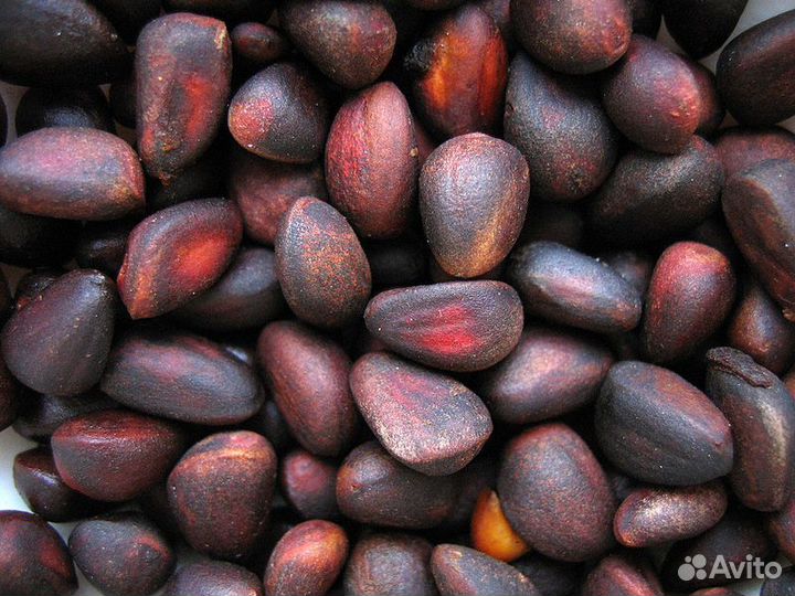 Кедровый орех