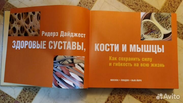 Здоровые суставы кости мышцы