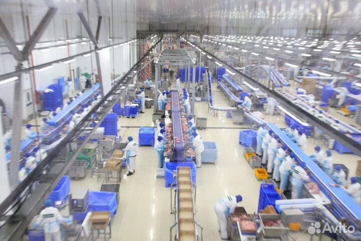 Рабочие в мясной цех(индейка) вахта Пенз.обл