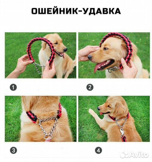 Ошейник удавка