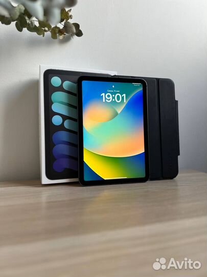 iPad mini 6 256 (отличный, сим карта)