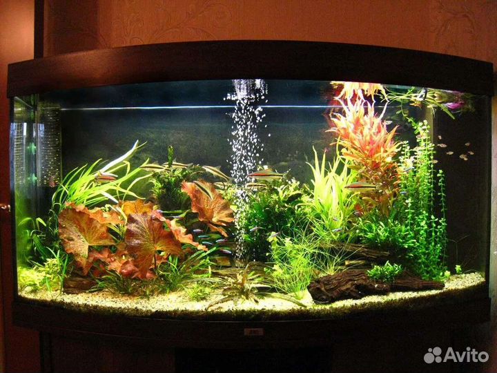 Аквариум