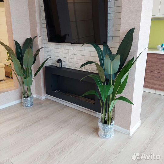 Искусственные растения. Стрелиция